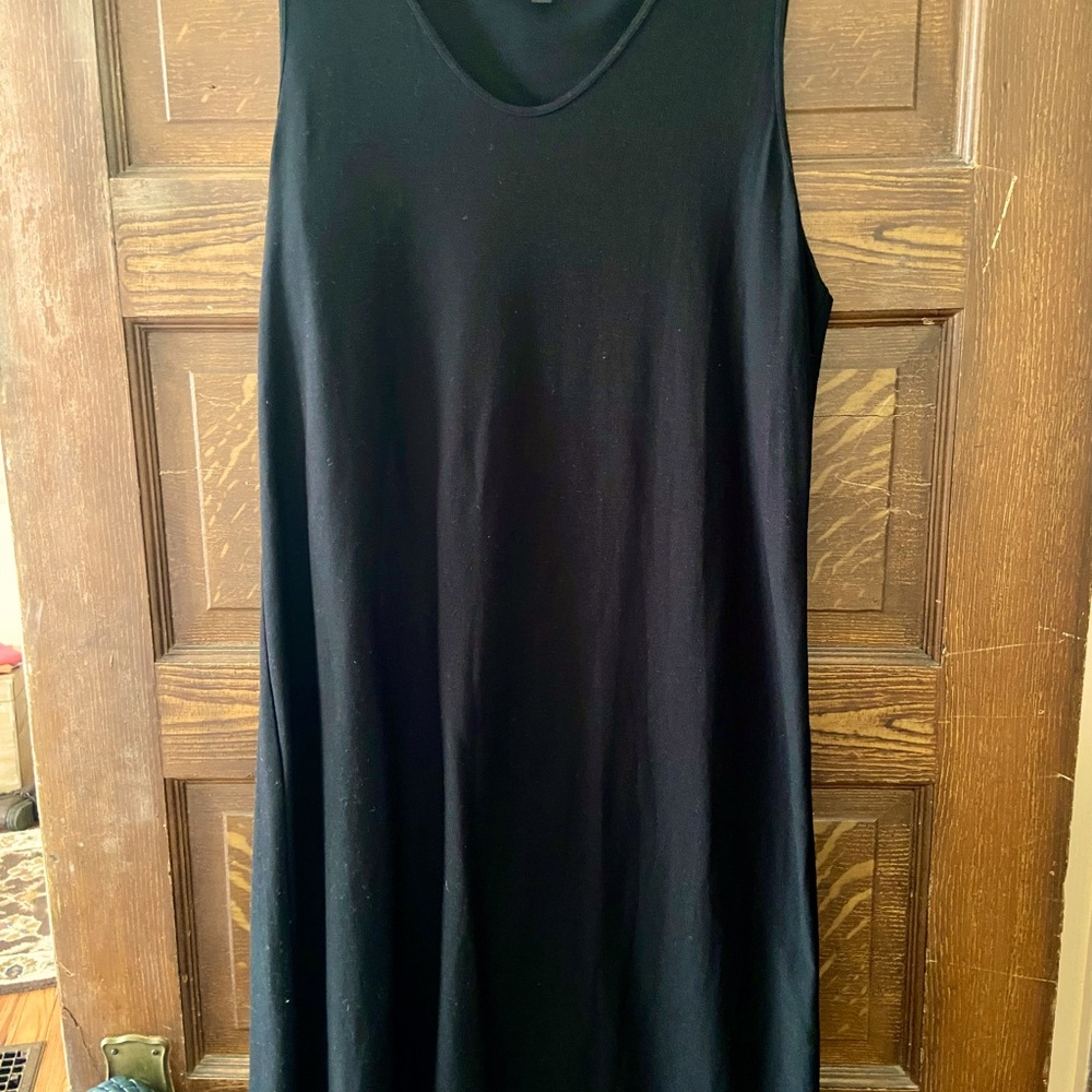 New Eileen Fisher dress.